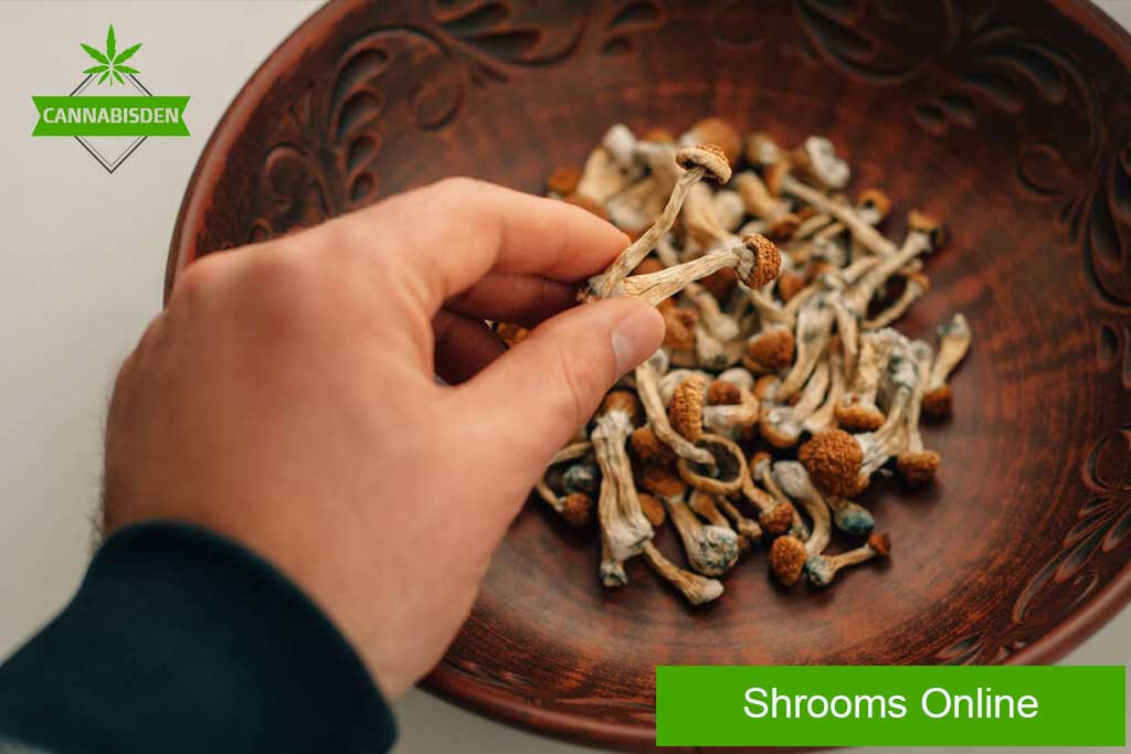 Shrooms online
