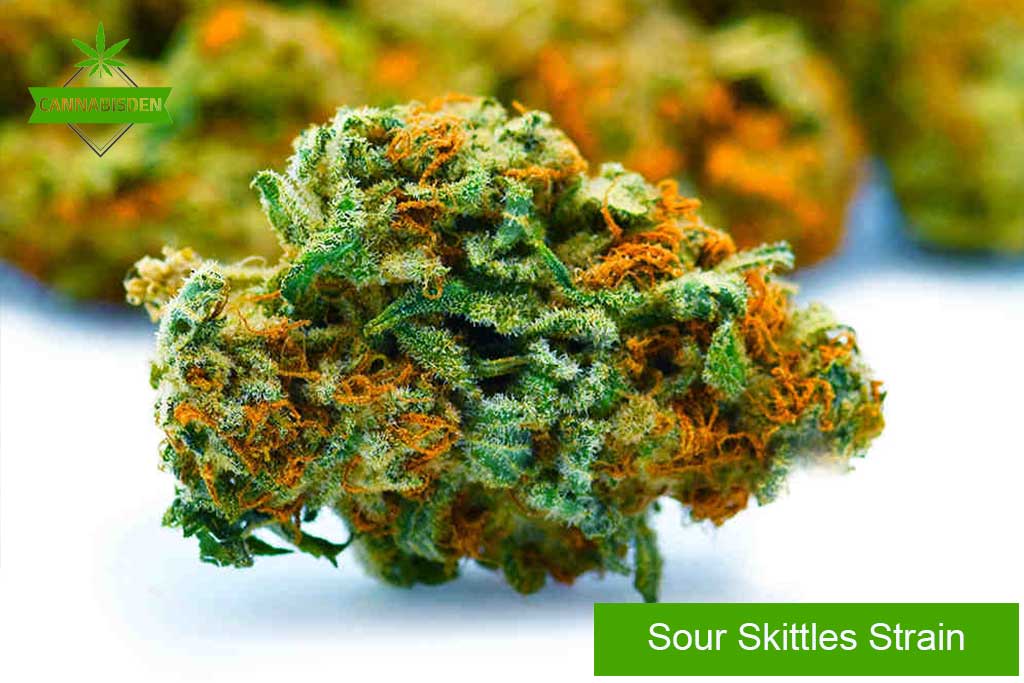 Sour skittles strain