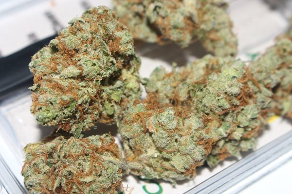 Weed delivery - Sativa Strain