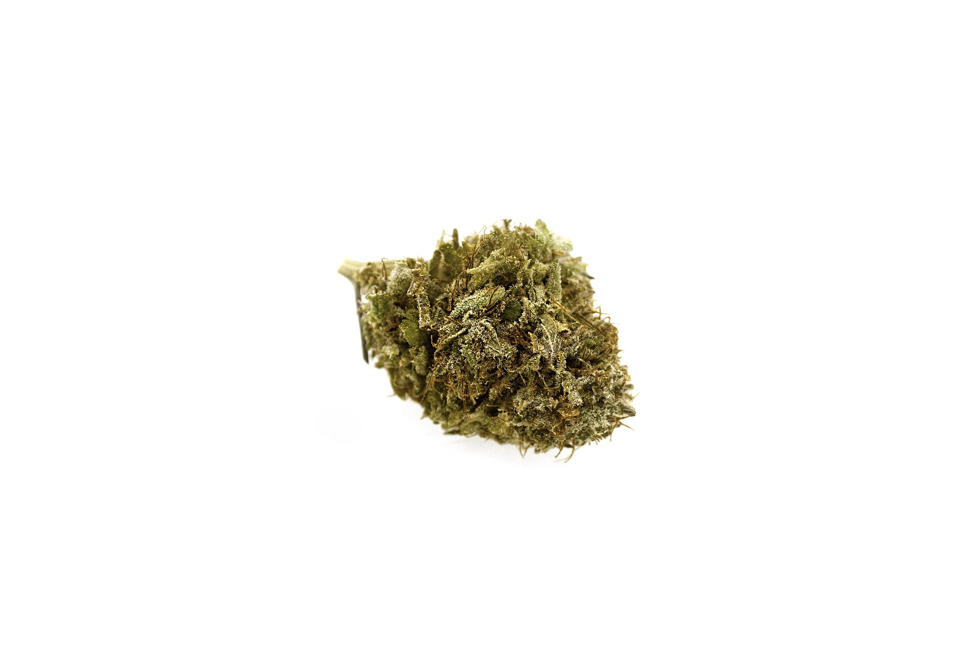 Discover the Finest AAAA Strains Online