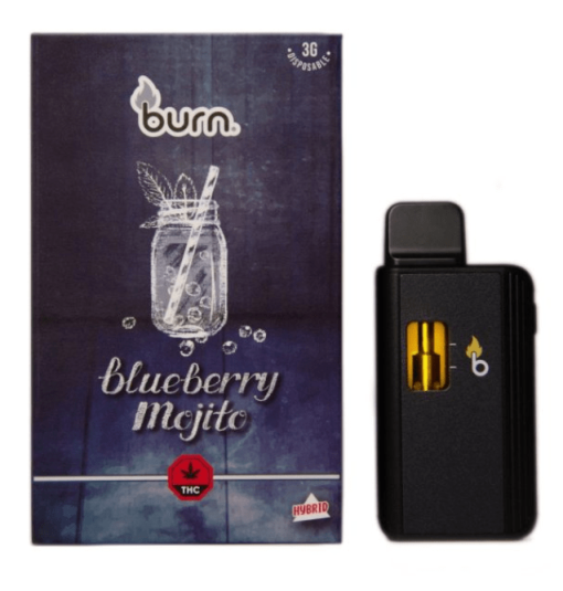 Burn. 3 Gram Disposable Vapes – Blueberry Mojito (3 Gram Sativa)