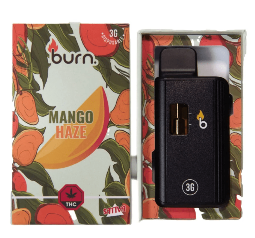 Burn. 3 Gram Disposable Vapes – Mango Haze (3 Gram Sativa)
