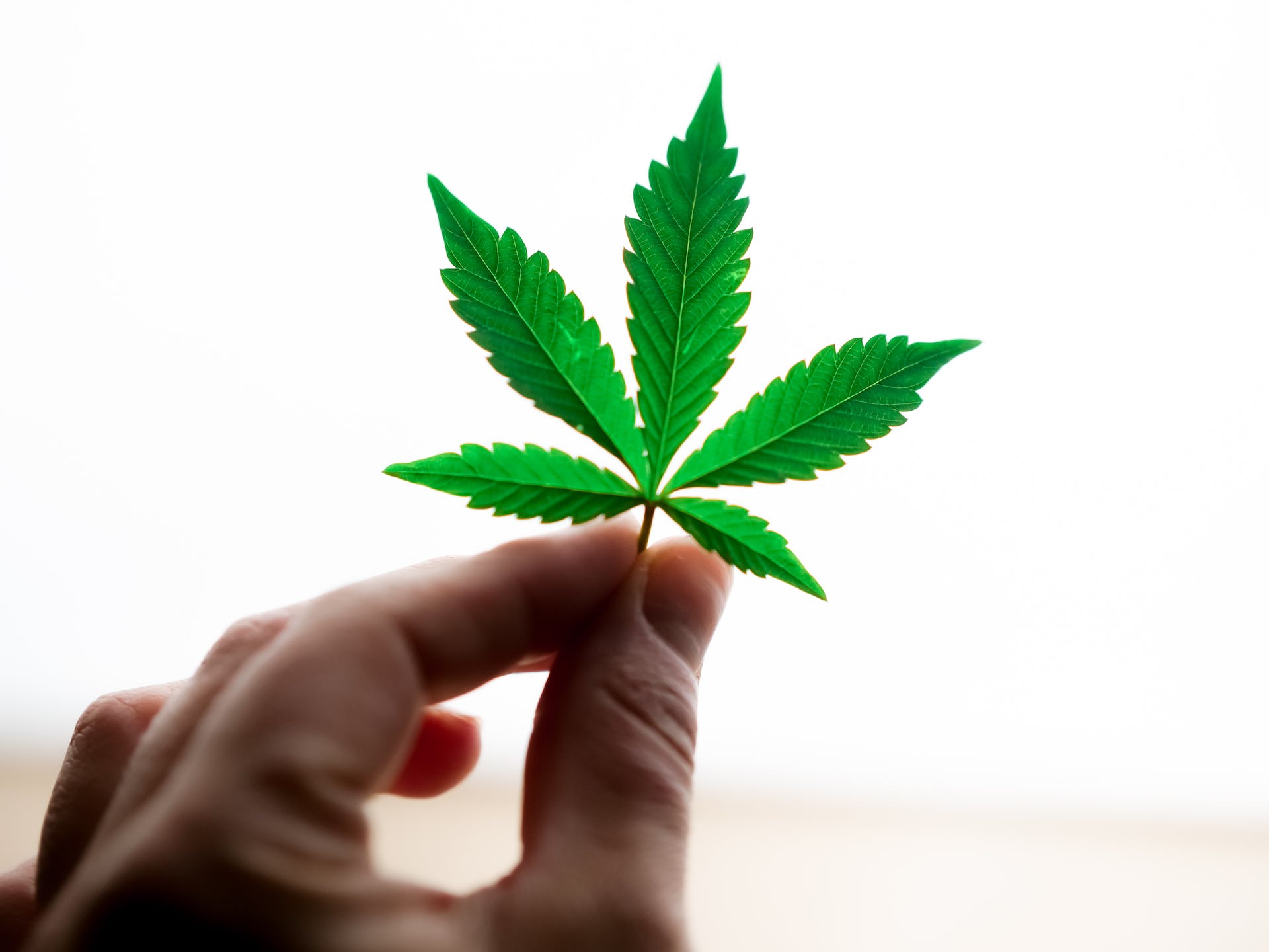 order weed online in Canada