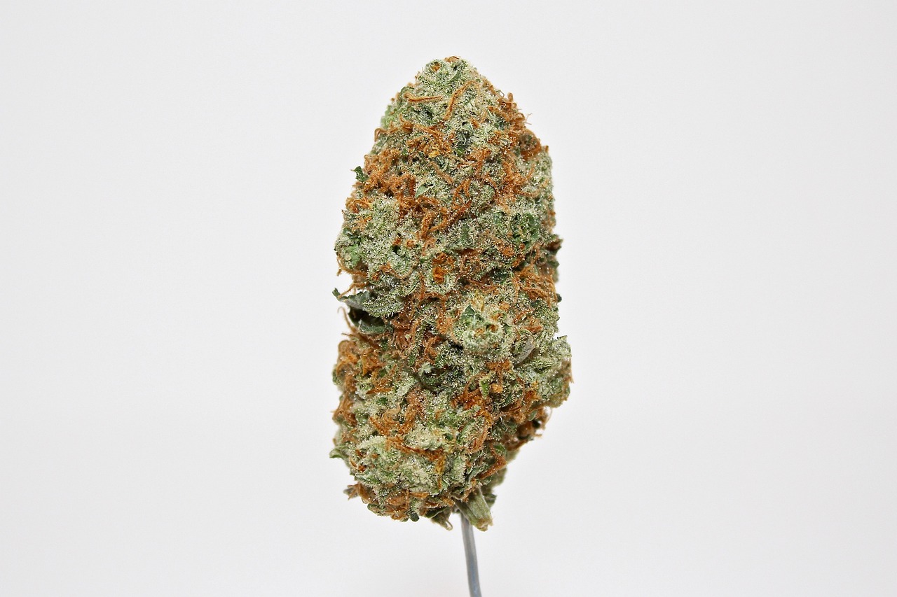 buy craft weed in Canada buy craft weed in Canada