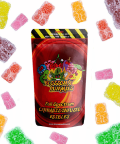 BlossomX - Assorted Gummy Bears 600mg THC (10 x 60mg)
