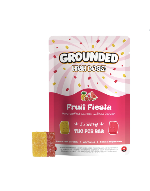 Grounded High Dose Bricks – Fruit Fiesta 1500mg Gummies