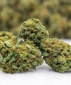 Purple Runtz- AAA- ($3.57/ gram)