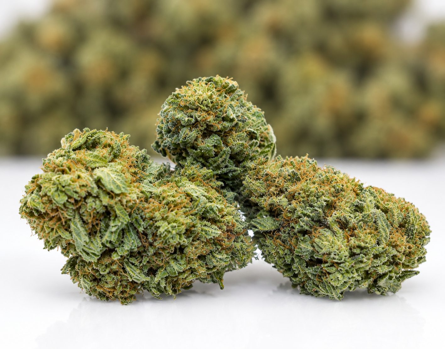 Purple Runtz- AAA- ($3.57/ gram)
