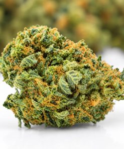 (BULK) Rockstar Master Kush - AAAA