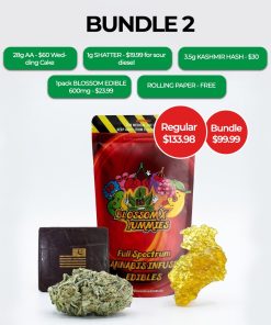 BUNDLE 2