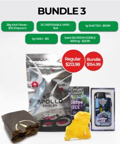 BUNDLE 3