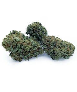 (BULK) Purple Runtz- AAA - HALF POUND