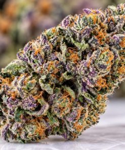(BULK) Purple Rhino - AAA