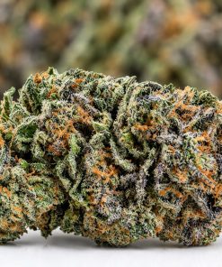 (BULK) Cali Bubba - AAAA