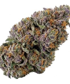 (BULK) Purple Rhino - AAA