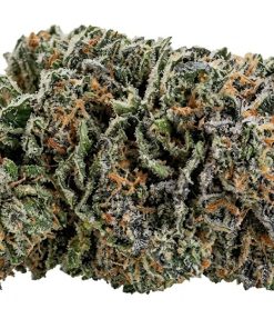 (BULK) Cali Bubba - AAAA